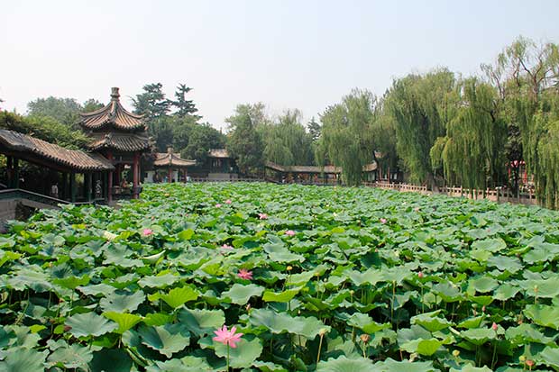 Западное Озеро в Ханчжоу